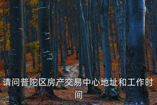 上海市房產(chǎn)登記中心地址，上海市房地產(chǎn)交易中心