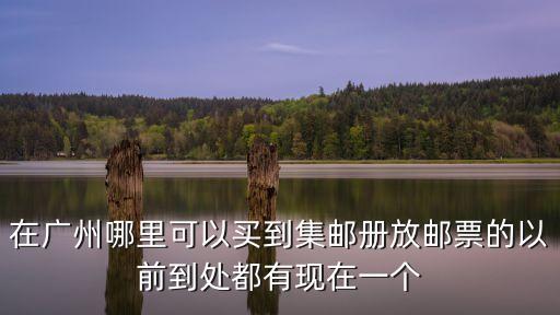 廣州買紀念郵票的地方，在廣州哪里可以買到集郵冊放郵票的以前到處都有現(xiàn)在一個