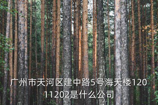 廣州市天河區建中路5號海天樓12011202是什么公司