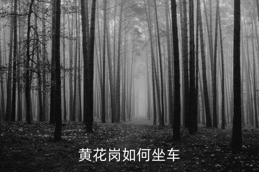 黃花崗如何坐車