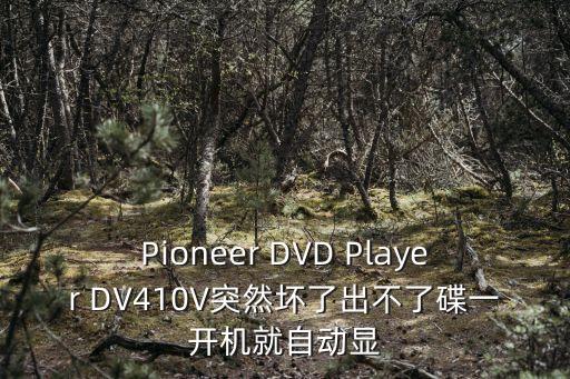 Pioneer DVD Player DV410V突然壞了出不了碟一開機就自動顯