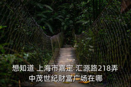 想知道 上海市嘉定 匯源路218弄中茂世紀財富廣場在哪
