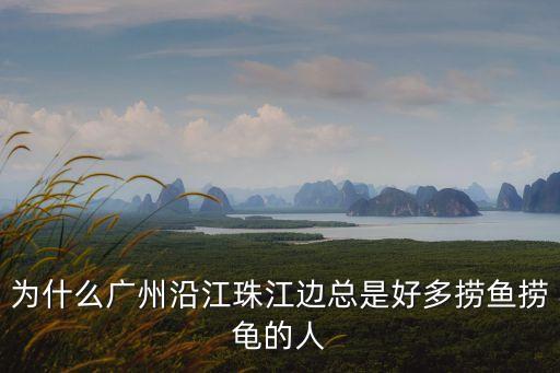 為什么廣州沿江珠江邊總是好多撈魚撈龜的人