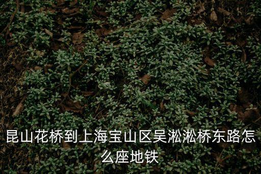 昆山花橋到上海寶山區吳淞淞橋東路怎么座地鐵