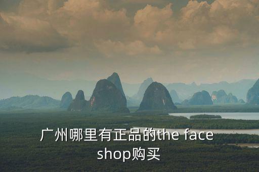 廣州哪里有正品的the face shop購買