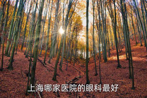 上海市第一人民醫(yī)院眼科專(zhuān)家鄭志，上海哪家醫(yī)院的眼科最好