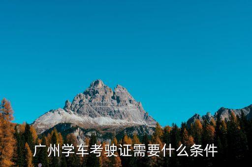 廣州考駕駛證報考條件，廣州考駕照需要些什么證件