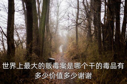 廣州白云特大販毒案，世界上最大的販毒案是哪個(gè)干的毒品有多少價(jià)值多少謝謝