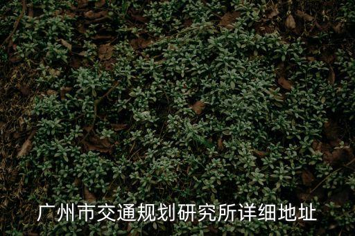 廣州市交通規劃研究所詳細地址