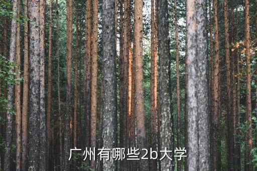 廣州有ib課程的大學嗎，廣東有什么ib學?；蛘呤怯蓄A科讀的都可以