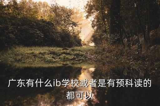 廣東有什么ib學(xué)校或者是有預(yù)科讀的都可以