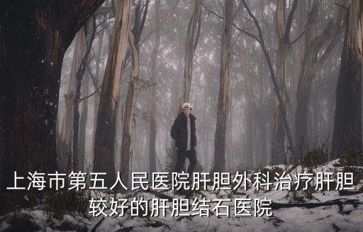 上海市第五人民醫(yī)院肝膽外科治療肝膽較好的肝膽結(jié)石醫(yī)院