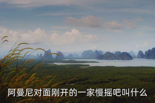阿曼尼對面剛開的一家慢搖吧叫什么