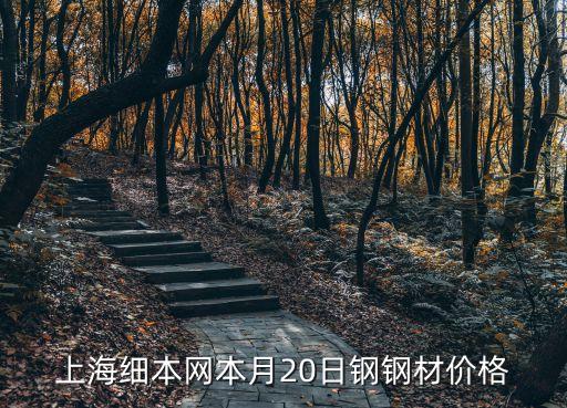 上海細(xì)本網(wǎng)本月20日鋼鋼材價(jià)格