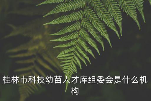桂林市科技幼苗人才庫組委會是什么機構
