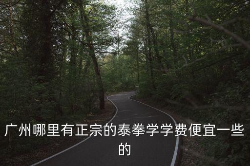 廣州哪里有正宗的泰拳學學費便宜一些的