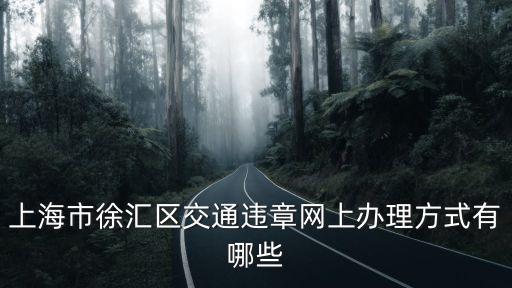 上海市徐匯區交通違章網上辦理方式有哪些