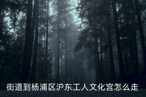 街道到楊浦區滬東工人文化宮怎么走
