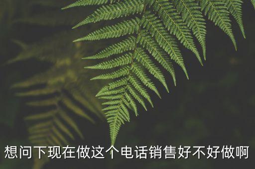 想問下現在做這個電話銷售好不好做啊