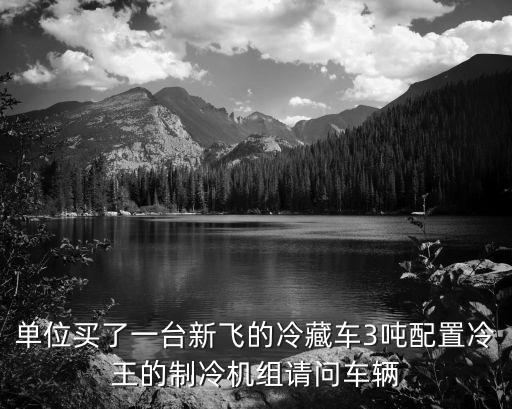 單位買了一臺(tái)新飛的冷藏車3噸配置冷王的制冷機(jī)組請(qǐng)問車輛