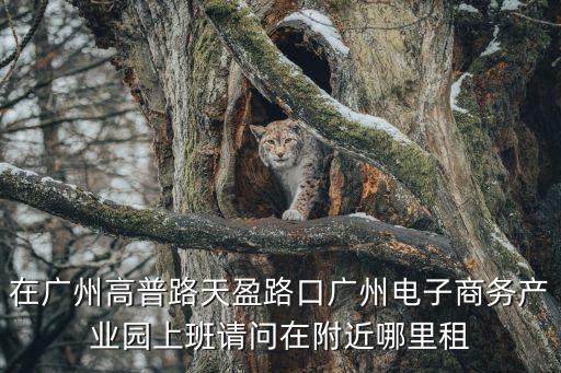 在廣州高普路天盈路口廣州電子商務(wù)產(chǎn)業(yè)園上班請(qǐng)問在附近哪里租