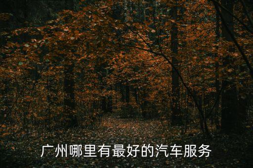 廣州哪里有最好的汽車服務