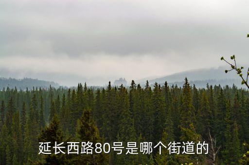 延長西路80號是哪個街道的