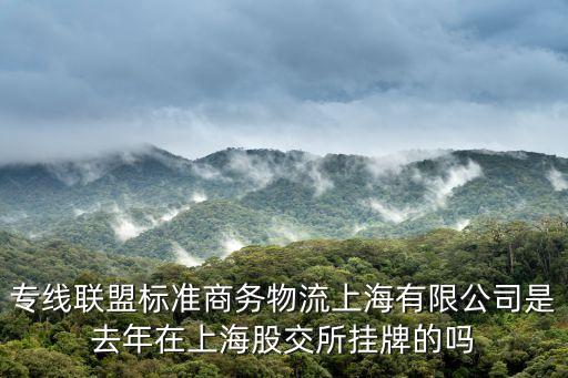 上海市貨代協會王林，專線聯盟標準商務物流上海有限公司是去年在上海股交所掛牌的嗎