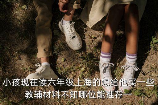 小孩現(xiàn)在讀六年級上海的想給他買一些教輔材料不知哪位能推薦一