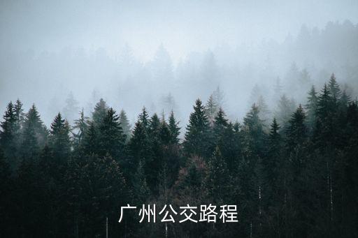廣州425路線視頻，廣州公交路程
