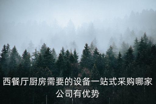 西餐廳廚房需要的設(shè)備一站式采購(gòu)哪家公司有優(yōu)勢(shì)