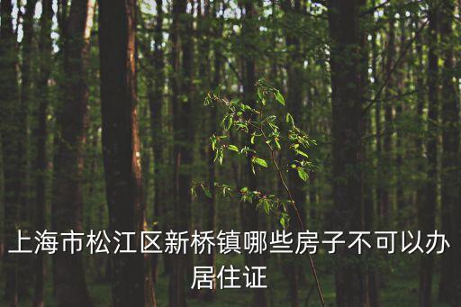 上海市松江新橋產(chǎn)權(quán)房，上海松江區(qū)新橋的申新家園是否有產(chǎn)權(quán)證的