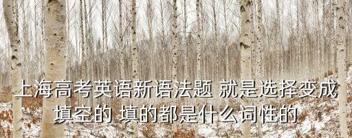 上海高考英語新語法題 就是選擇變成填空的 填的都是什么詞性的