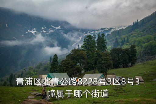 青浦區北青公路8228號3區8號3幢屬于哪個街道