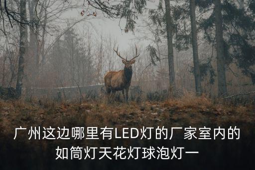 廣州這邊哪里有LED燈的廠家室內(nèi)的如筒燈天花燈球泡燈一