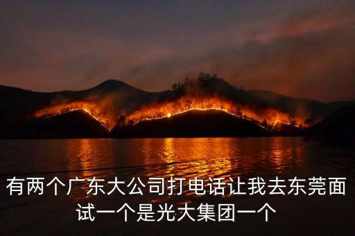 有兩個廣東大公司打電話讓我去東莞面試一個是光大集團一個