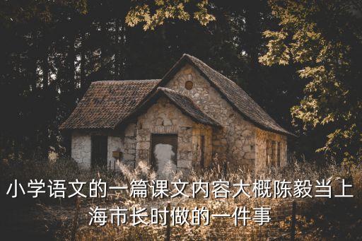 上海市市長做什么了，小學語文的一篇課文內容大概陳毅當上海市長時做的一件事