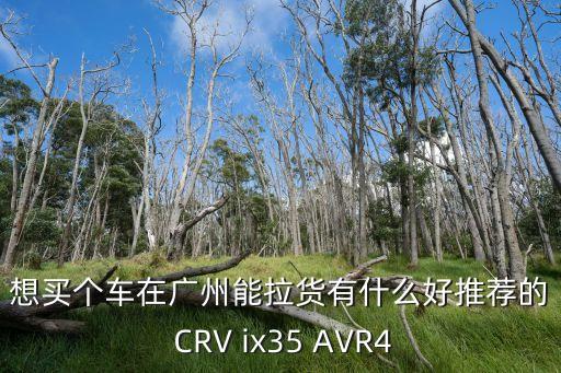 想買個車在廣州能拉貨有什么好推薦的 CRV ix35 AVR4