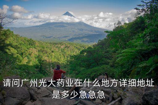 廣州大光藥業(yè)，廣東省廣州市白云區(qū)白云大道12886號是一家什么公司