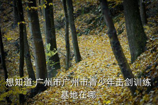 廣州 訓(xùn)練場(chǎng)，廣州天河區(qū)哪個(gè)駕校訓(xùn)練場(chǎng)交通比較方便的我在崗頂上班
