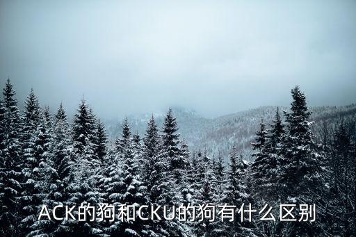 ACK的狗和CKU的狗有什么區別