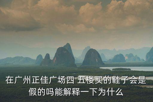 在廣州正佳廣場四 五樓買的鞋子會是假的嗎能解釋一下為什么
