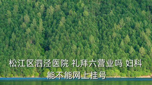 松江區泗涇醫院 禮拜六營業嗎 婦科 能不能網上掛號