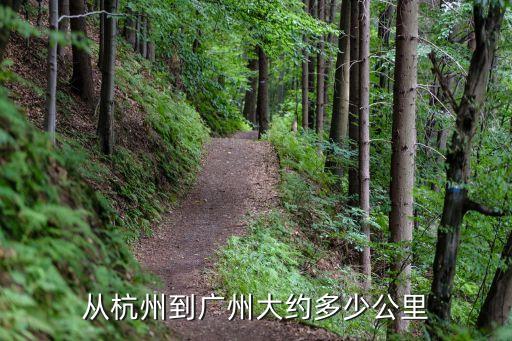 從杭州到廣州大約多少公里
