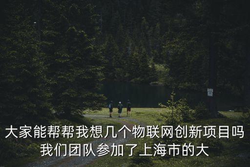 大家能幫幫我想幾個物聯網創新項目嗎我們團隊參加了上海市的大