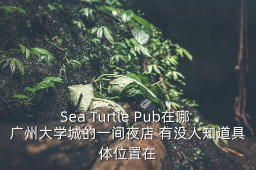 廣州大學城大壁球地點，廣州大學城具體地址