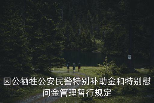 因公犧牲公安民警特別補助金和特別慰問金管理暫行規定