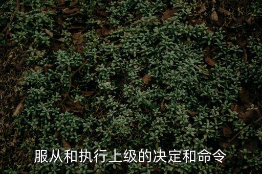 上海市委服從中央決定，上海是何時(shí)成為中央直轄市的