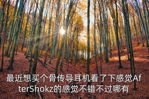 廣州店aftershokz，aftershokz骨傳導耳機在哪里有體驗蘋果體驗店有嗎畢竟Apple