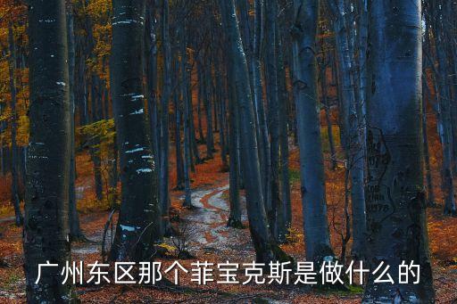 廣州東區(qū)那個菲寶克斯是做什么的